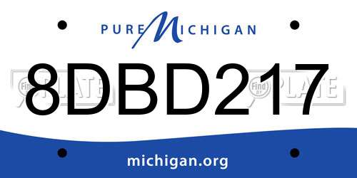 8DBD217 Michigan License Plate