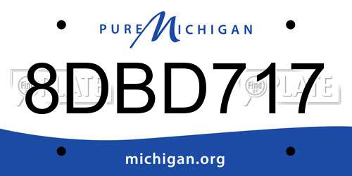 8DBD717 Michigan License Plate
