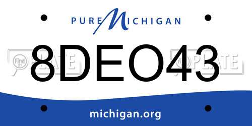 8DEO43 Michigan License Plate