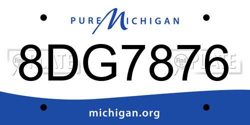 8DG7876 Michigan License Plate