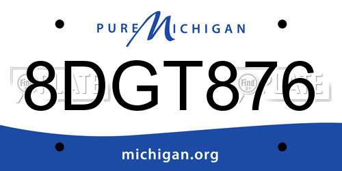 8DGT876 Michigan License Plate