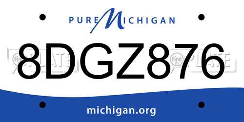 8DGZ876 Michigan License Plate