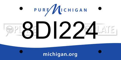 8DI224 Michigan License Plate