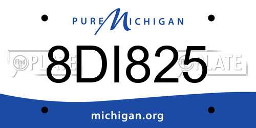 8DI825 Michigan License Plate