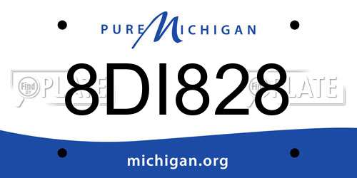 8DI828 Michigan License Plate