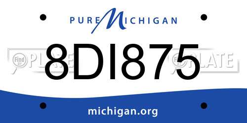 8DI875 Michigan License Plate