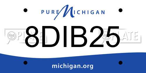 8DIB25 Michigan License Plate