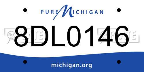 8DL0146 Michigan License Plate