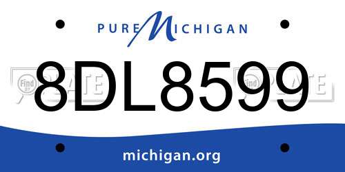 8DL8599 Michigan License Plate