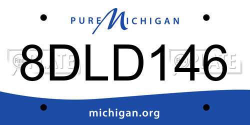 8DLD146 Michigan License Plate