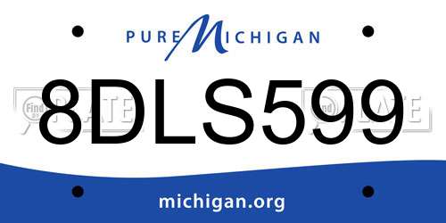 8DLS599 Michigan License Plate