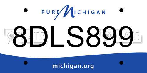 8DLS899 Michigan License Plate