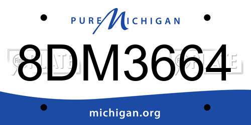 8DM3664 Michigan License Plate