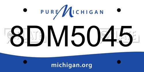 8DM5045 Michigan License Plate