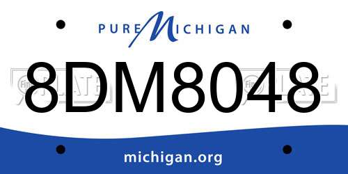8DM8048 Michigan License Plate