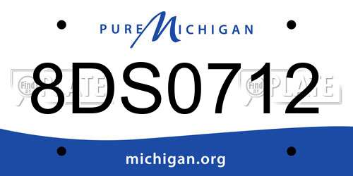 8DS0712 Michigan License Plate
