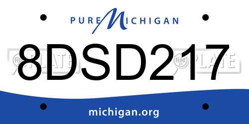 8DSD217 Michigan License Plate