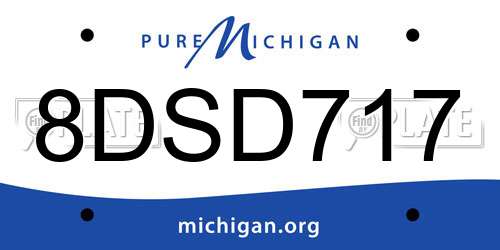 8DSD717 Michigan License Plate