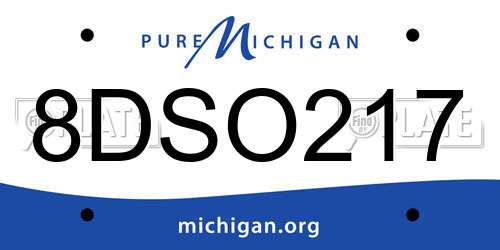 8DSO217 Michigan License Plate