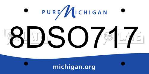 8DSO717 Michigan License Plate