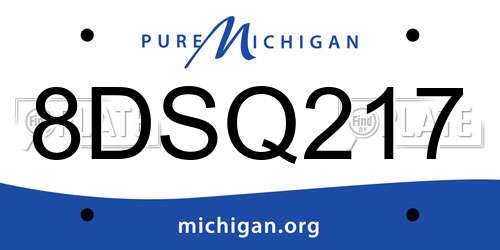 8DSQ217 Michigan License Plate