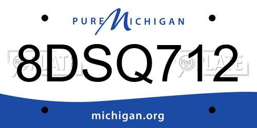 8DSQ712 Michigan License Plate