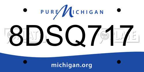 8DSQ717 Michigan License Plate
