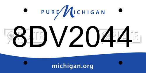 8DV2044 Michigan License Plate