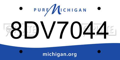 8DV7044 Michigan License Plate
