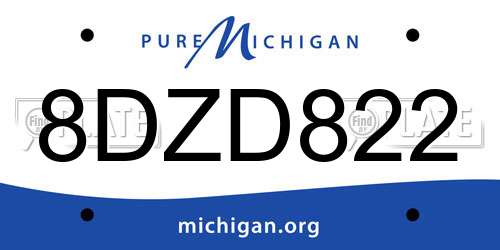 8DZD822 Michigan License Plate