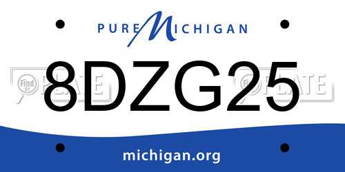 8DZG25 Michigan License Plate