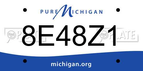 8E48Z1 Michigan License Plate