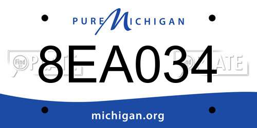8EA034 Michigan License Plate