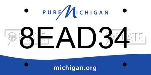 8EAD34 Michigan License Plate