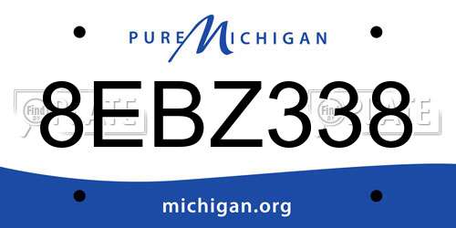 8EBZ338 Michigan License Plate