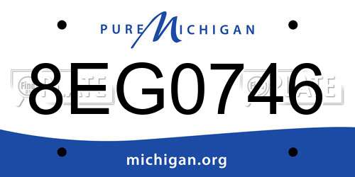 8EG0746 Michigan License Plate