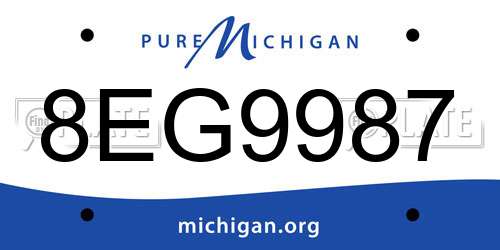 8EG9987 Michigan License Plate