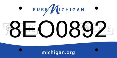 8EO0892 Michigan License Plate