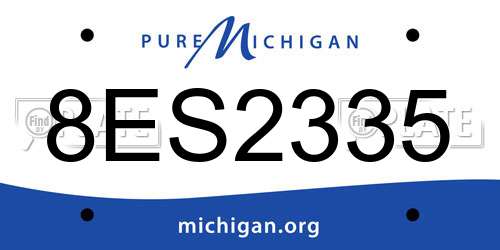 8ES2335 Michigan License Plate