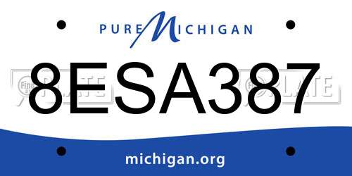 8ESA387 Michigan License Plate