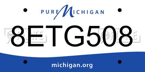 8ETG508 Michigan License Plate