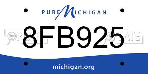 8FB925 Michigan License Plate