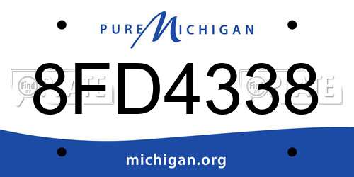 8FD4338 Michigan License Plate