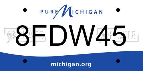 8FDW45 Michigan License Plate