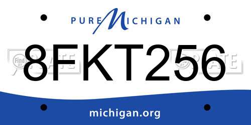 8FKT256 Michigan License Plate