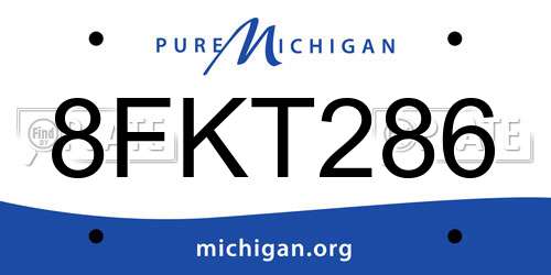 8FKT286 Michigan License Plate