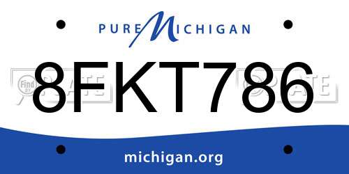 8FKT786 Michigan License Plate