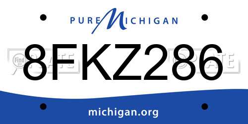 8FKZ286 Michigan License Plate