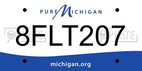 8FLT207 Michigan License Plate