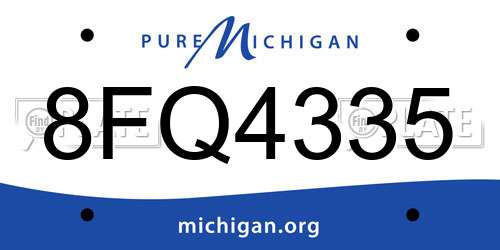 8FQ4335 Michigan License Plate